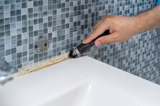 Best Insurance-Related Mold Remediation in Westfield, WI